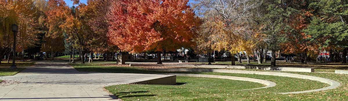 Fall colors in Nevada's Capital City